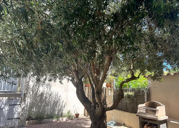 Appartement Ideal Emplacement 3 *